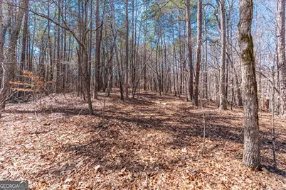 0 Snote Jones Road, Dallas, GA 30132 - Photo 21