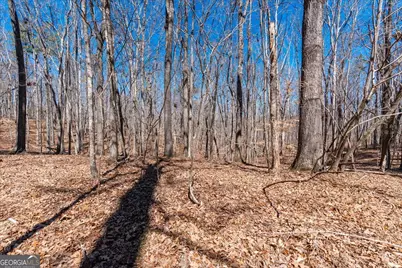 0 Snote Jones Road, Dallas, GA 30132 - Photo 17