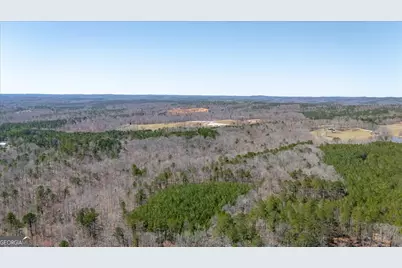 0 Snote Jones Road, Dallas, GA 30132 - Photo 5