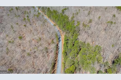 0 Snote Jones Road, Dallas, GA 30132 - Photo 11