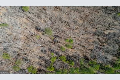 0 Snote Jones Road, Dallas, GA 30132 - Photo 9