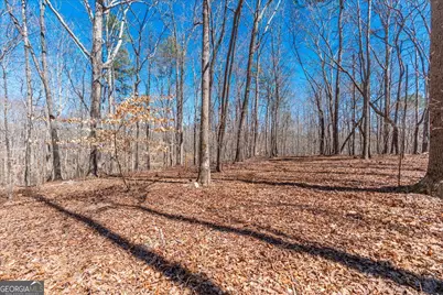 0 Snote Jones Road, Dallas, GA 30132 - Photo 23