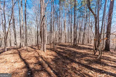 0 Snote Jones Road, Dallas, GA 30132 - Photo 19