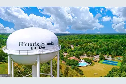 335 Staffin Drive, Senoia, GA 30276 - Photo 61