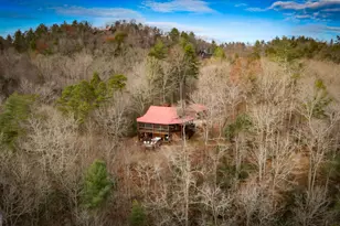 297 Tall Timber Mountain Rd, Blue Ridge, GA 30513 - Photo 103