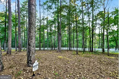 385 Huckaby Road, Brooks, GA 30205 - Photo 61