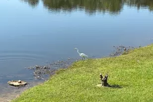 2783 Mill Lake Way, Morrow, GA 30260 - Photo 25