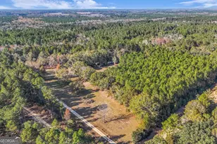 4931 Mill Branch Hunting Clb Rd, Pembroke, GA 31321 - Photo 59