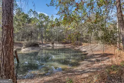 4931 Mill Branch Hunting Club Road, Pembroke, GA 31321 - Photo 55