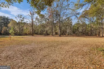 4931 Mill Branch Hunting Club Road, Pembroke, GA 31321 - Photo 41