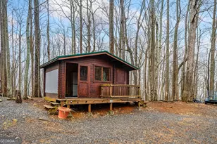 541 Little Bushy Head Rd, Cherrylog, GA 30522 - Photo 41