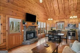 541 Little Bushy Head Rd, Cherrylog, GA 30522 - Photo 7