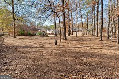 314 Briarmoor Drive, Warner Robins, GA 31088 - Photo 41