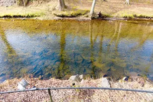 4117 River Bank Run, Hiawassee, GA 30546 - Photo 7