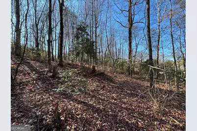 0 W Kytle Street, Cleveland, GA 30528 - Photo 15