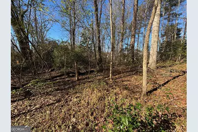 0 W Kytle Street, Cleveland, GA 30528 - Photo 21