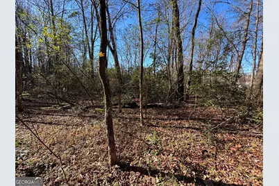 0 W Kytle Street, Cleveland, GA 30528 - Photo 17