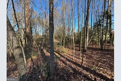 0 W Kytle Street, Cleveland, GA 30528 - Photo 19