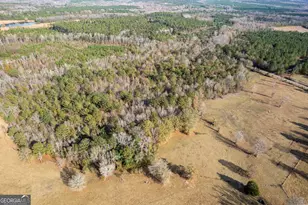 485 Thompson Rd, Sparta, GA 31087 - Photo 17