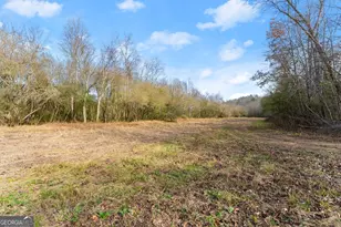 147 Jess Hunt W 60+ Acres Rd, Cleveland, GA 30528 - Photo 63