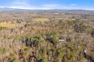 2446 Dean Mountain Rd, Cleveland, GA 30528 - Photo 47