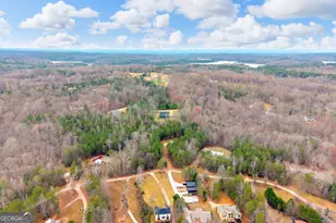 473 Chandler Pl Dr, Lavonia, GA 30553 - Photo 57