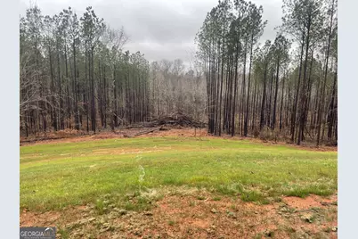 4444 County Line Road, Mansfield, GA 30055 - Photo 23