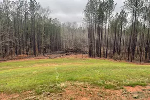 4444 County Line Rd, Mansfield, GA 30055 - Photo 23