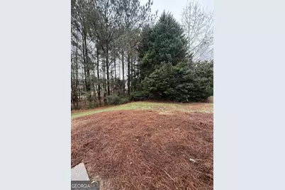 2241 Baker Carter Drive, Loganville, GA 30052 - Photo 21