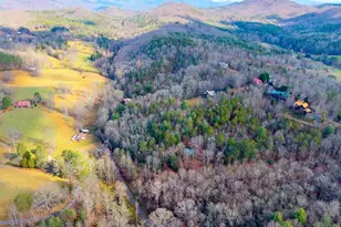 488 Smith Rd, Brasstown, NC 28902 - Photo 37