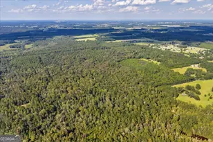 624 Wantland Rd, Fort Valley, GA 31030 - Photo 27