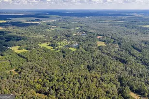 624 Wantland Rd, Fort Valley, GA 31030 - Photo 25