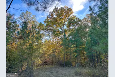 0 Jordon Road, Waverly Hall, GA 31831 - Photo 21