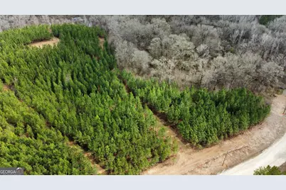 0 Jordon Road, Waverly Hall, GA 31831 - Photo 13