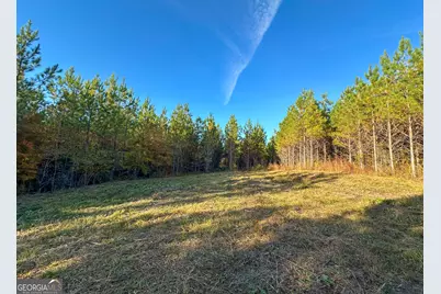 0 Jordon Road, Waverly Hall, GA 31831 - Photo 1