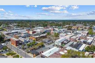 320 Royal Fern Lane, Statesboro, GA 30461 - Photo 41