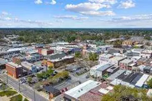 320 Royal Fern Ln, Statesboro, GA 30461 - Photo 41