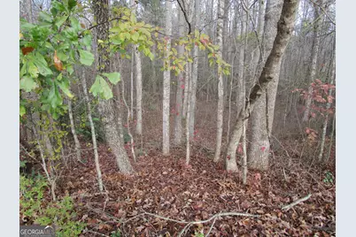 135 Four Oaks Drive, Griffin, GA 30224 - Photo 3