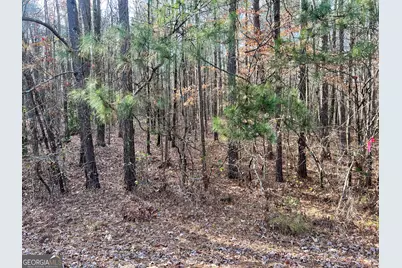 0 Hwy. 5, Douglasville, GA 30135 - Photo 9