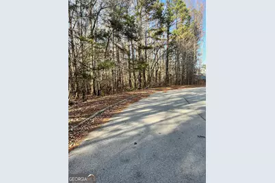 0 Hwy. 5, Douglasville, GA 30135 - Photo 5