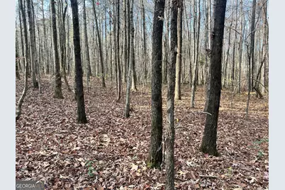 0 Hwy. 5, Douglasville, GA 30135 - Photo 7