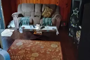 313 Coker Dr, Pelham, GA 31779 - Photo 3