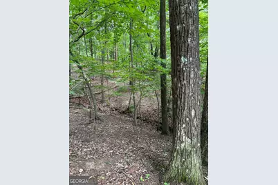 1225-1227 Oglethorpe Road, Jasper, GA 30143 - Photo 23