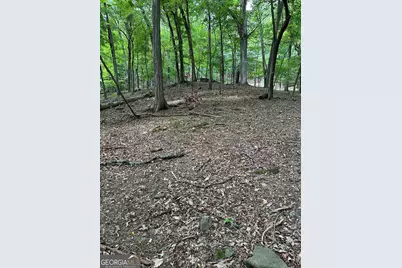 1225-1227 Oglethorpe Road, Jasper, GA 30143 - Photo 21