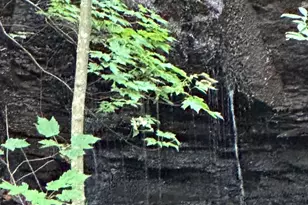 1225-1227 Oglethorpe Rd, Jasper, GA 30143 - Photo 1