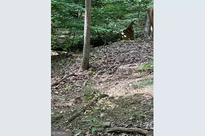 1225-1227 Oglethorpe Road, Jasper, GA 30143 - Photo 25