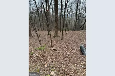 1225-1227 Oglethorpe Road, Jasper, GA 30143 - Photo 11