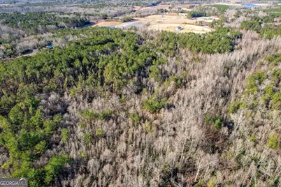 0 Wrens Highway, Thomson, GA 30824 - Photo 11