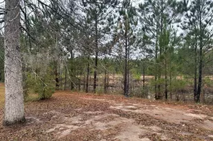 73 Tondee Wy, Midway, GA 31320 - Photo 21