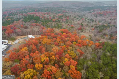 0 Hogan Pond Road, Ball Ground, GA 30107 - Photo 7